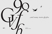 uFgiat75 Serif, a Serif Font by silukEight (Thumbnail 9 of 9)