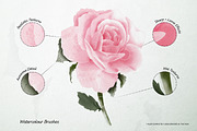 Procreate Bundle 70% OFF, a Brush Add-On by BrushUp (Thumbnail 70 of 73)