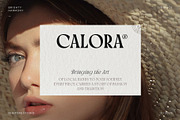 Brighty Harmony | Serif font family, a Font by Digitype Studio (Thumbnail 9 of 15)
