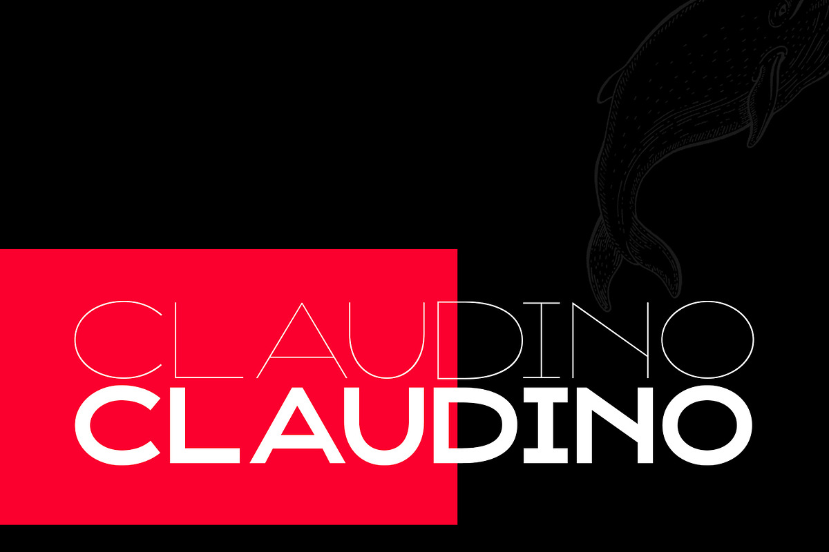 Claudino Display Font, a Sans Serif Font by Design Stag (Photo 1 of 9)