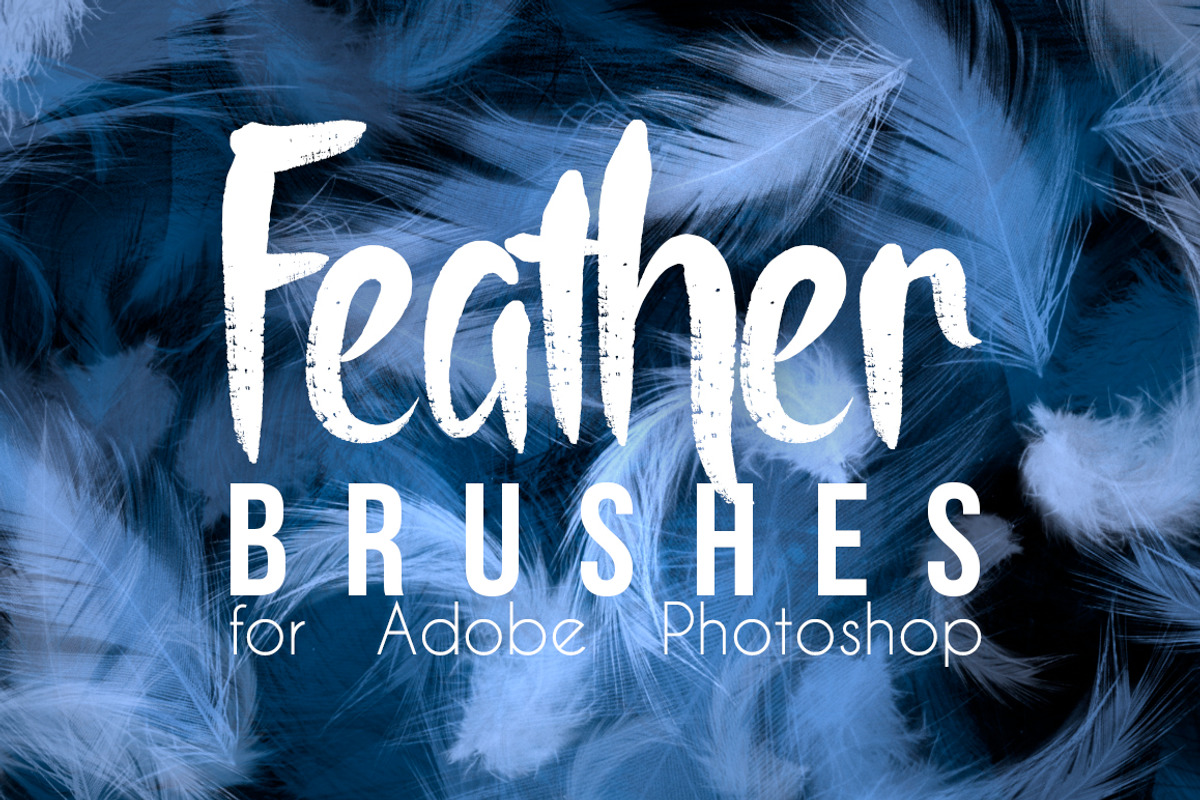 Real Feather Photoshop Brushes, a Brush Add-On by Avenie Digital