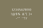 Brown Bulgary Modern Serif Font, a Serif Font by UICreative (Thumbnail 7 of 13)