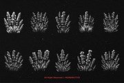 10 Bundle Dark Art Lavender Flower, an Illustration by Morspective (Thumbnail 6 of 7)