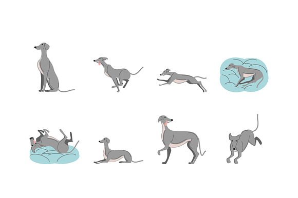 Greyhound Dog Illustration Set preview 2