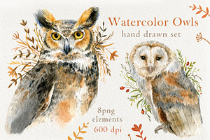 Watercolor Owls set