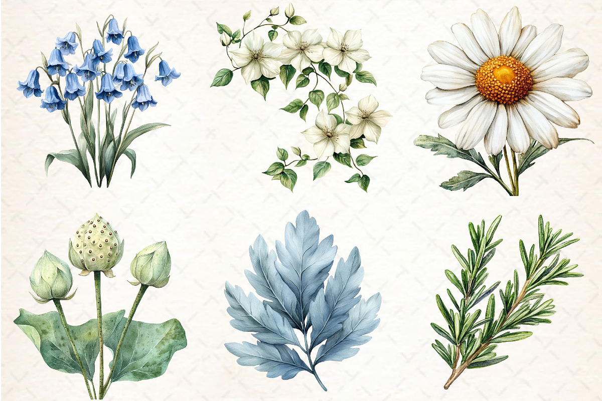 Vintage Botanical Clipart, an Illustration by Libby Wishes (Photo 3 of 6)