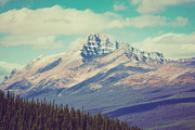 Authentic Vintage Landscape Effect, a Layer Style Add-On by Design Squad (Thumbnail 3 of 7)