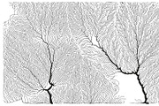 Growth - 50 Backgrounds, a Texture Graphic by GarryKillian (Thumbnail 8 of 51)