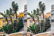 Insta Green Lightroom Mobile Presets, an Action Add-On by in between details (Thumbnail 11 of 17)