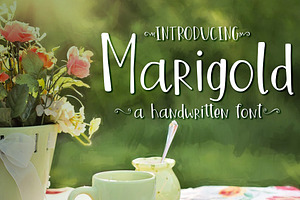 Marigold Font