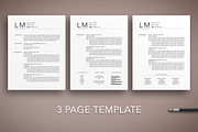 Professional Resume/CV Template, a Resume Template by The Creative Resume (Thumbnail 3 of 8)