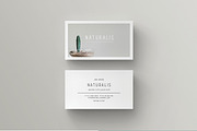 NATURALIS Business Card Template, a Business Card Template by 46&2 Collective (Thumbnail 5 of 9)