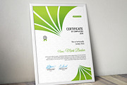 Certificate Word | PSD | AI, a Stationery Template by Curve Design (Thumbnail 2 of 3)