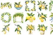 Watercolor Amalfi Lemons Clipart, an Illustration by Design Market (Thumbnail 2 of 4)