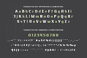 Qekruz | Serif Classic Modernism, a Serif Font by twinstd (Thumbnail 10 of 13)