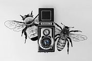 Vintage Bee Butterfly Illustrations, an Icon by Hatch Design Workshop (Thumbnail 3 of 8)