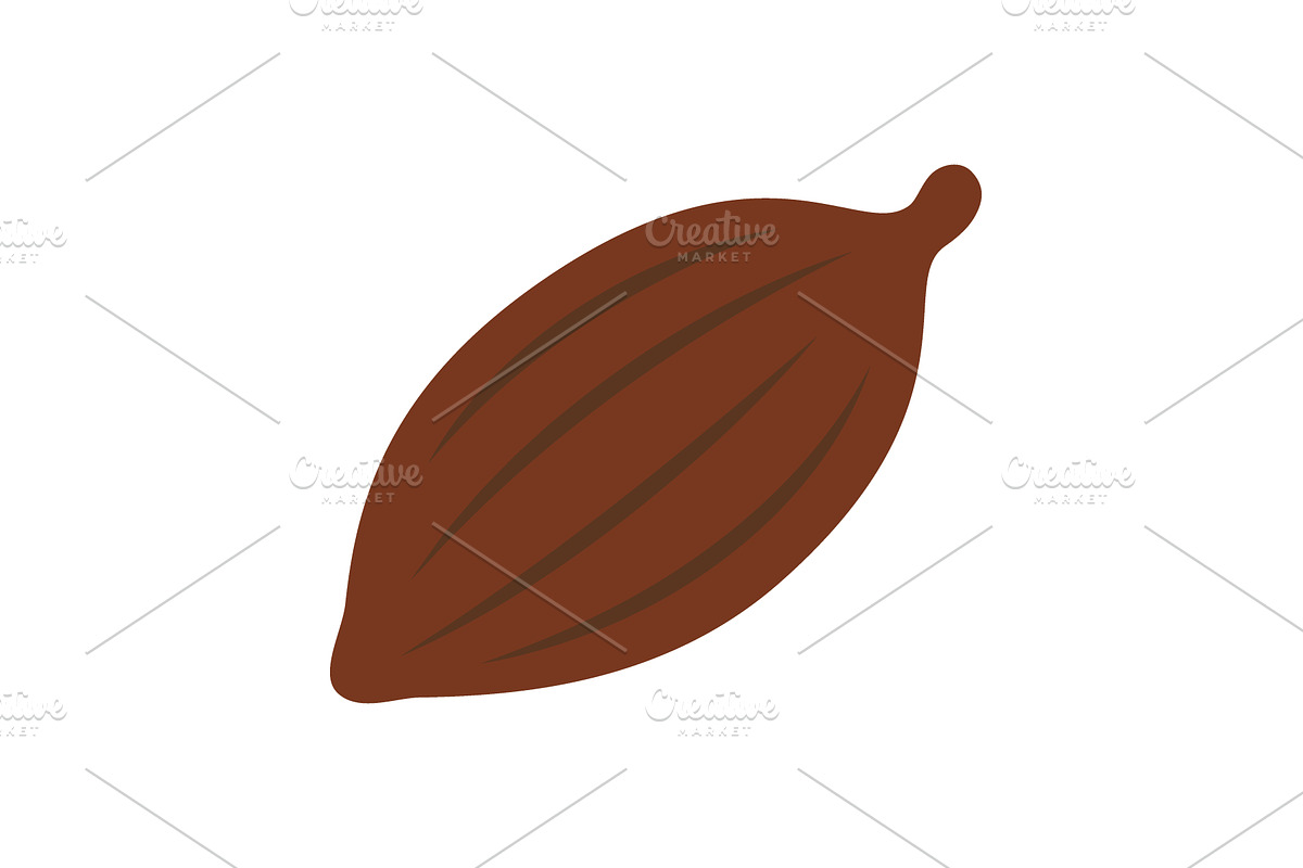 Cacao pod vector illustration. Flat, a Food Illustration by GraphiShop
