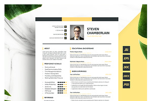 Professional Resume Or CV Template