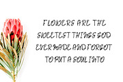 Jaraad Script 4 Font Family Pack, a Script Font by Creativetacos (Thumbnail 5 of 5)