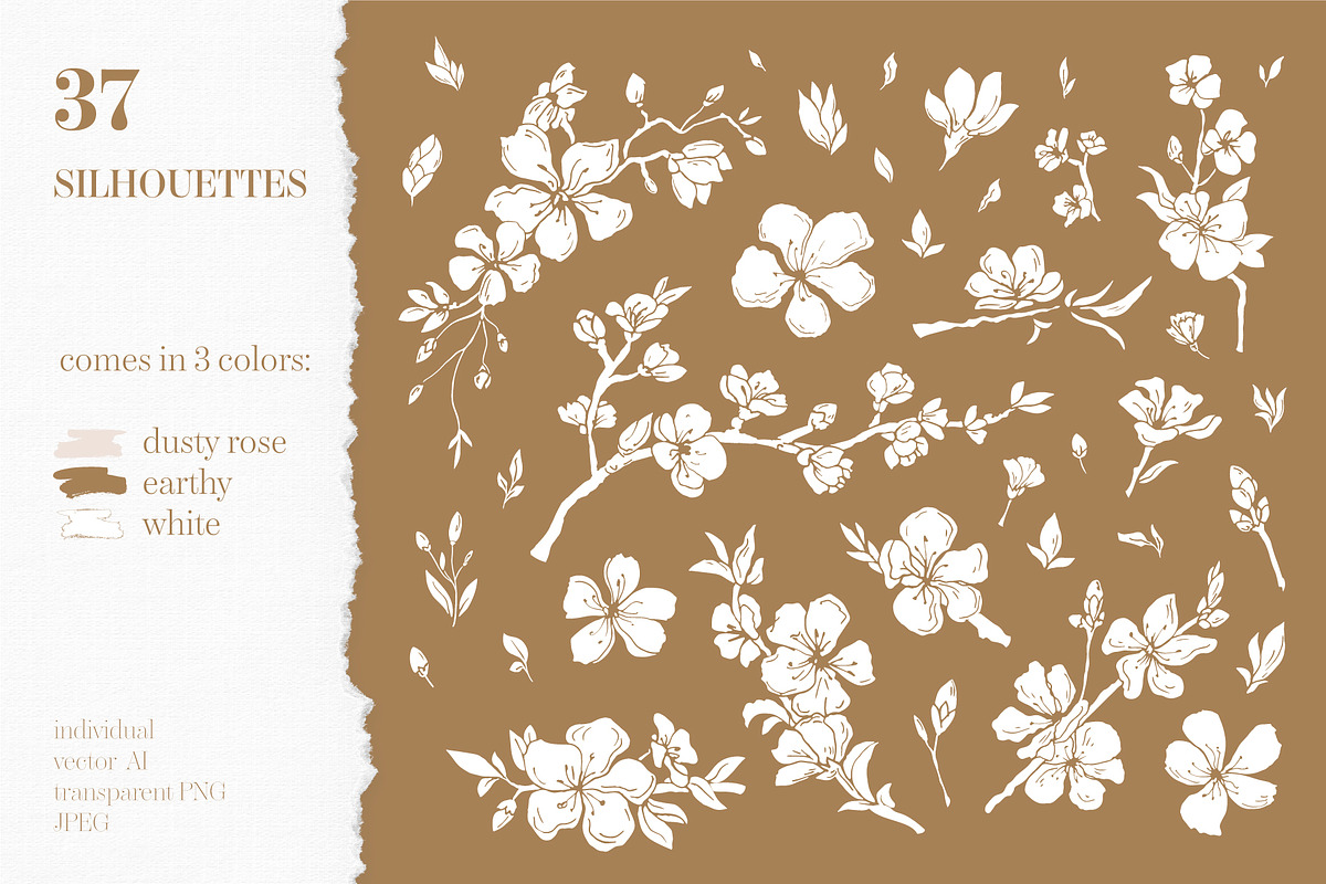 Cherry Blossom graphic set, an Illustration by EkaterinaKiriy (Photo 4 of 13)