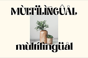 Merdian, a Serif Font by Muksal Creative (Thumbnail 7 of 8)