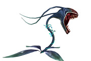 3DFoin - Elongata, a Characters & Person 3D Model by 3DRT.com (Thumbnail 11 of 17)