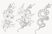 Procreate Snake stamps with flowers., a Brushes & More by AnnaPolitmerskaja (Thumbnail 7 of 8)