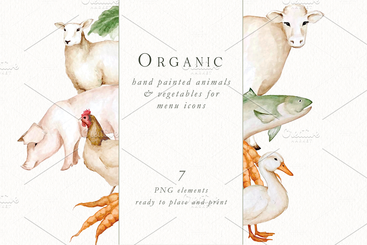 Watercolor Menu Graphics, an Animal Illustration by Blushed Design by Katrina (Photo 1 of 2)