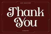 Aigos - Elegant Serif Display Font, a Serif Font by Pekotype (Thumbnail 15 of 15)