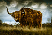 300 Professional Lightroom Presets, an Action Add-On by Madison Colt Studios (Thumbnail 28 of 29)
