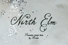 North Elm - Decorative Script Font