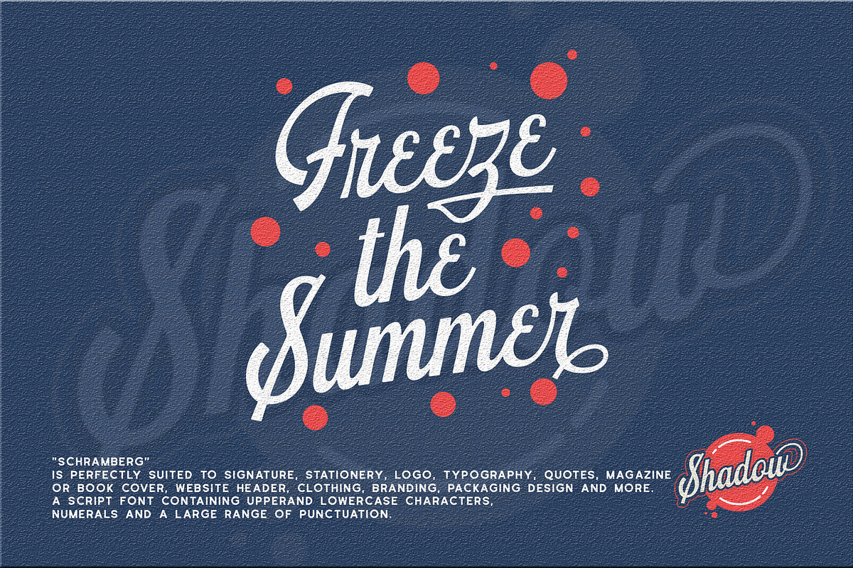 Schramberg Font Duo + Logo Template preview 5