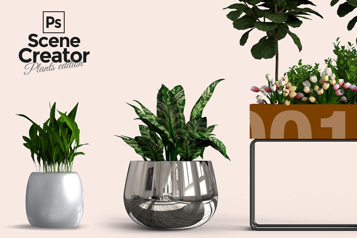 60 PSD Beautiful isolated plants, a Household Mockup by JAZZ STUDIO (Photo 4 of 7)