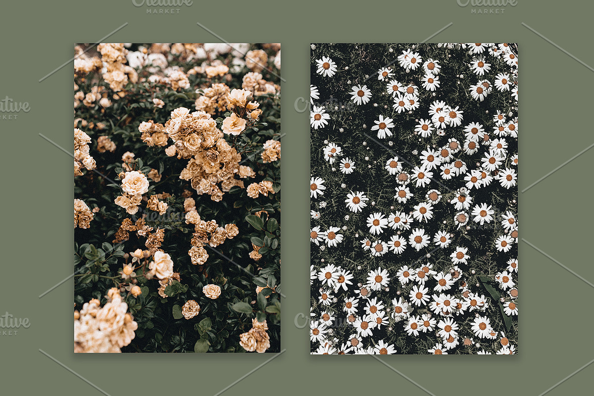 Lifestyle Bundles Collection 3, a Photo by Floral Deco (Photo 44 of 48)