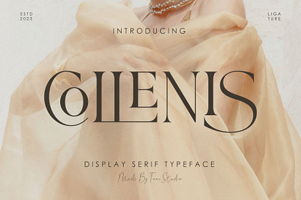 COLLENIS-Display serif, a Serif Font by ToniStudio