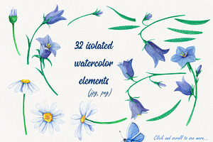 Set Of Watercolor Wild Flowers