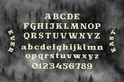 Evereast Slab Serif, a Slab Serif Font by Nocturnal Workspace (Thumbnail 7 of 9)
