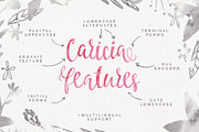 Caricia - handdrawn font, a Script Font by Favete Art (Thumbnail 2 of 8)