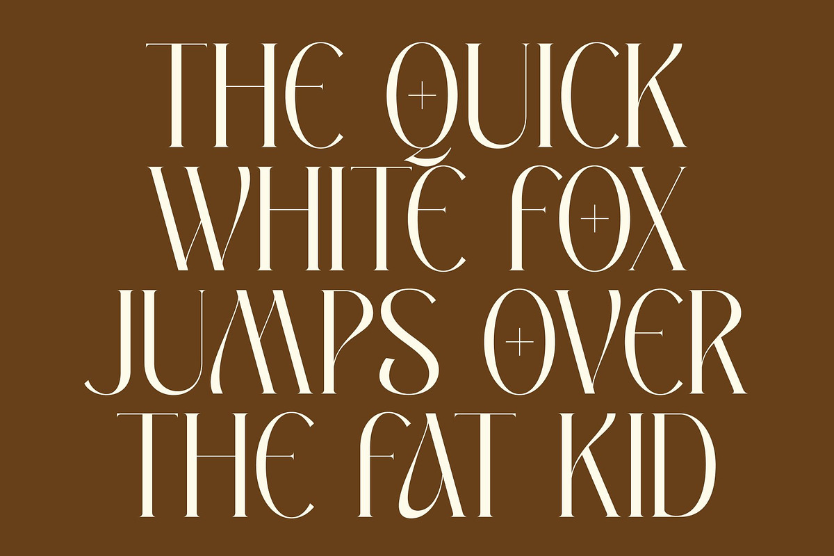 CS Meryna – Stylish Serif Font, a Serif Font by Craft Supply Co. (Photo 4 of 8)