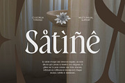 CS Georgia – Elegant Font, a Serif Font by Craft Supply Co. (Thumbnail 5 of 8)