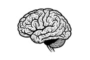 Brain Tree Knowledge Design Bundle, an Illustration by Gaye Art (Thumbnail 30 of 31)