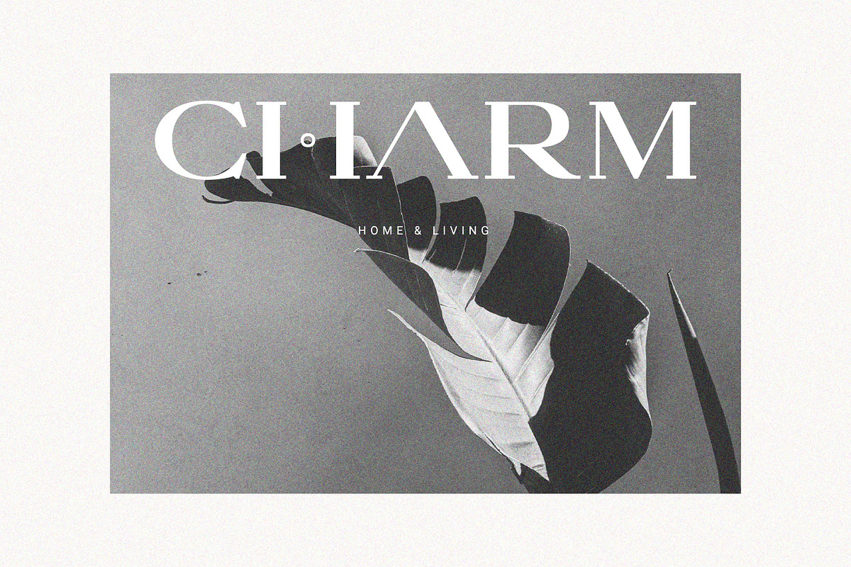 Morlac - Modern Serif, a Serif Font by Prioritype Co (Photo 4 of 10)