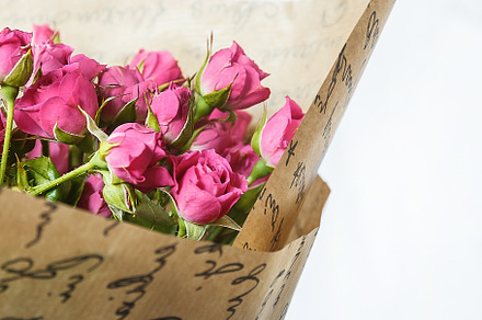 background of the many delicate little pink roses, a Nature Photo by TanaCh