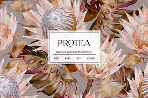 Protea Watercolor Floral Pattern, a Graphic by PROTEA Watercolor Studio