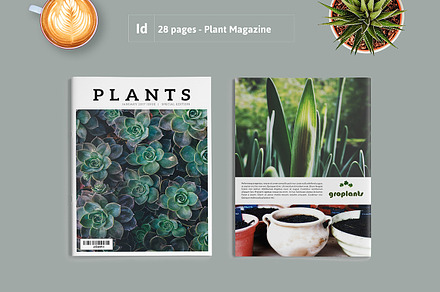 PLANTS Magazine / Portfolio