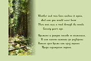 Fanny Echo Cyrillic Script font, a Script Font by IraDvilyuk (Thumbnail 6 of 10)