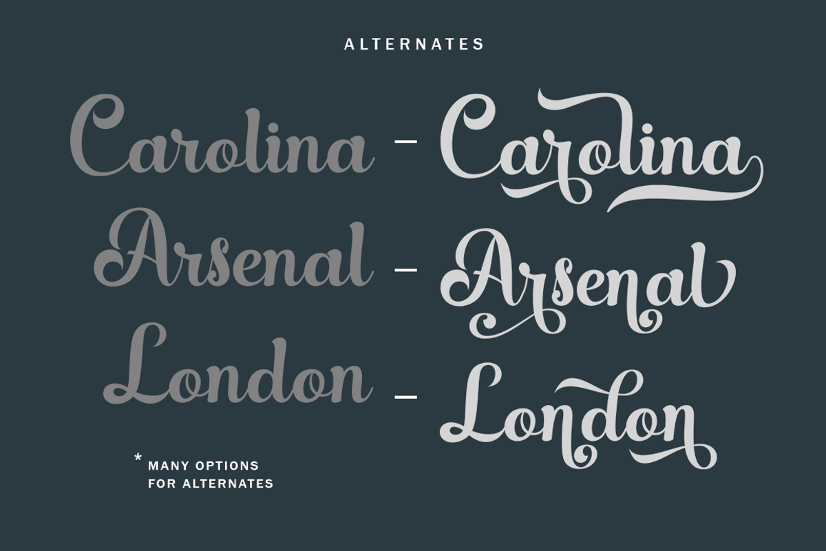 Shaletta Script, a Script Font by GloowStudio (Photo 8 of 9)