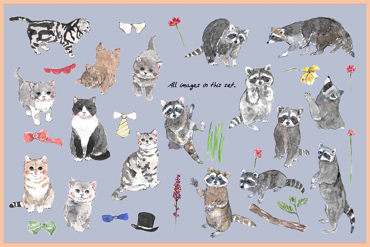 Raccoons & Cats-Watercolor Clipart, an Animal Illustration by VianneArt (Photo 2 of 7)