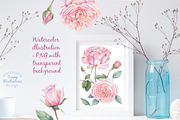 Watercolor Rose Garden, a Decorative Illustration by Irina Diasli (Thumbnail 9 of 9)