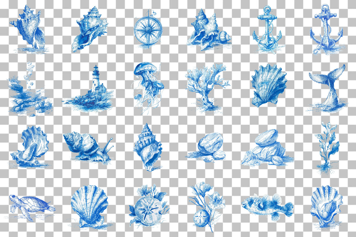Seashell Ocean Sketch Clipart, an Illustration by DreamCafeArt (Photo 3 of 6)